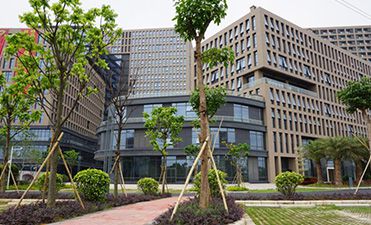 成立广州分公司